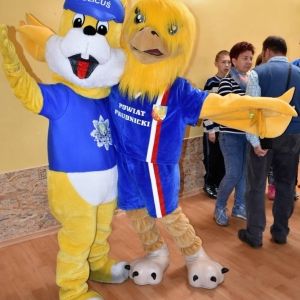 pokaż obrazek - 