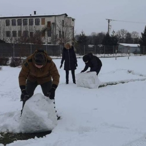 pokaż obrazek - 