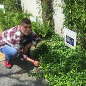 pokaż obrazek - 