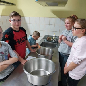 pokaż obrazek - 