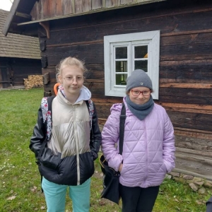 pokaż obrazek - 