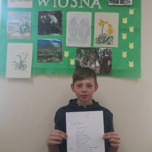 pokaż obrazek - 