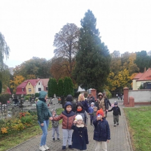 pokaż obrazek - 