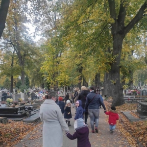 pokaż obrazek - 