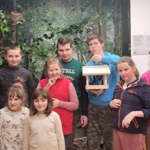 pokaż obrazek - 