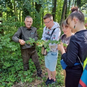 pokaż obrazek - 