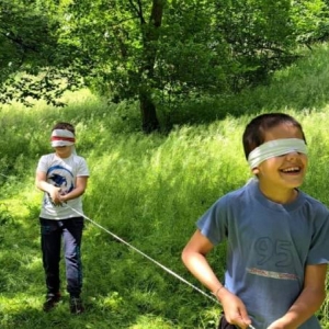 pokaż obrazek - 