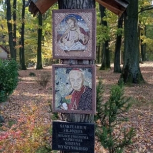 pokaż obrazek - 