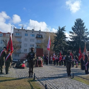 pokaż obrazek - 
