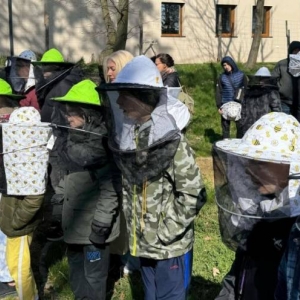 pokaż obrazek - 