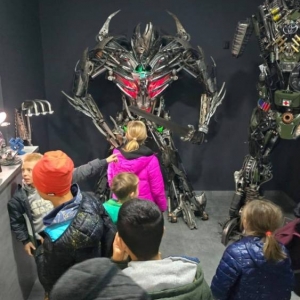 pokaż obrazek - 