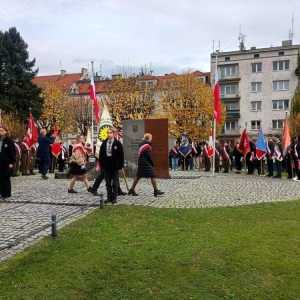pokaż obrazek - 