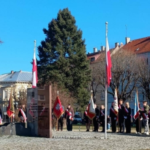 pokaż obrazek - 