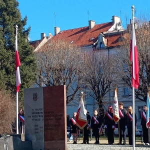pokaż obrazek - 