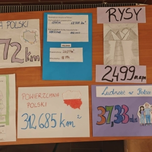 pokaż obrazek - 