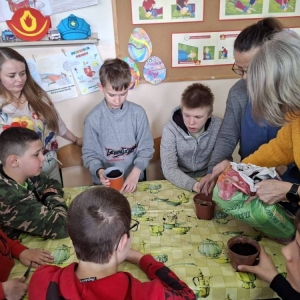 pokaż obrazek - 