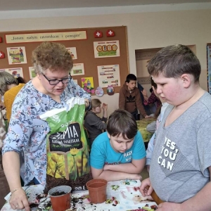 pokaż obrazek - 