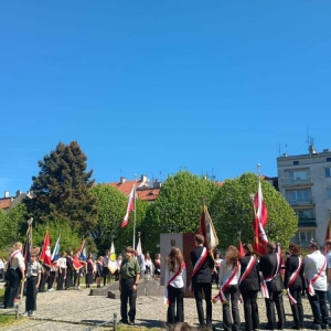 pokaż obrazek - 