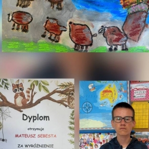 pokaż obrazek - 