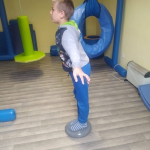 pokaż obrazek - 