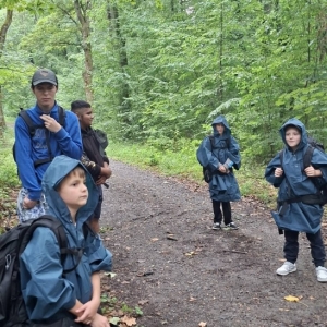 pokaż obrazek - 